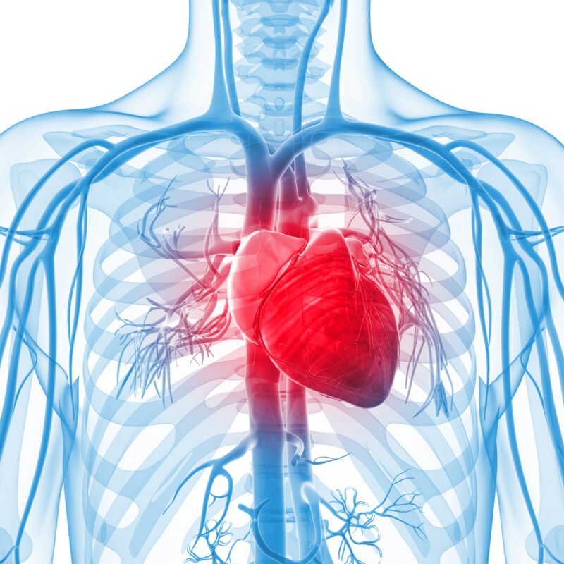 Cardiac treatment